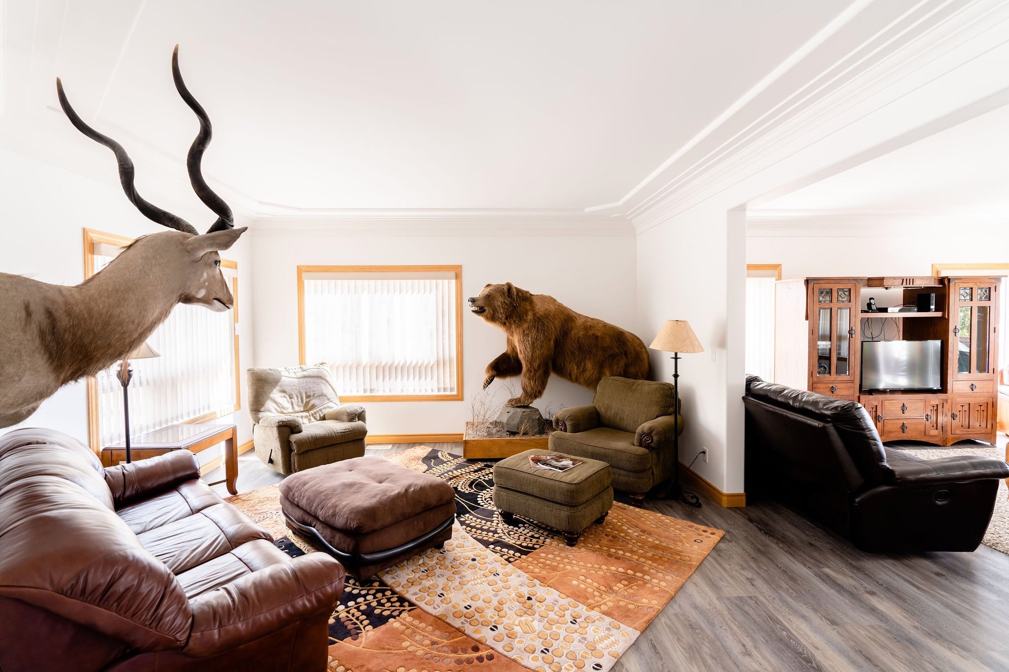 Living room with a mounted kodiak brown bear and antelope head, sofas, armchair, coffee table, and wooden entertainment center.