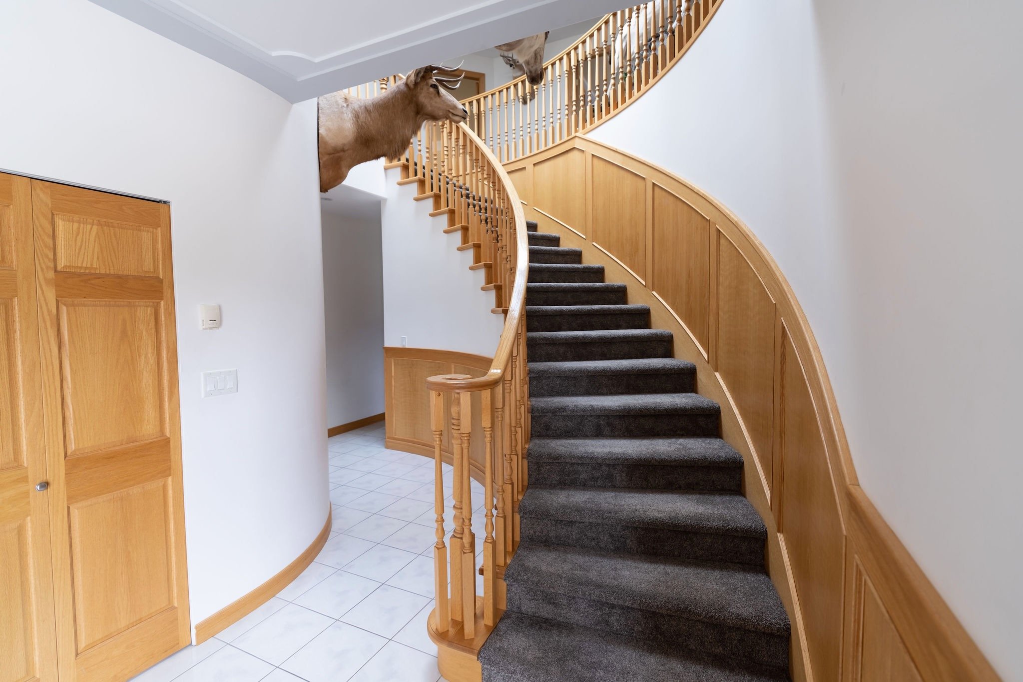 A curved staircase with dark carpeted steps, wooden railing, and wooden paneling on the wall. A taxidermied animal head and a mounted animal are positioned at the top of the stairs.