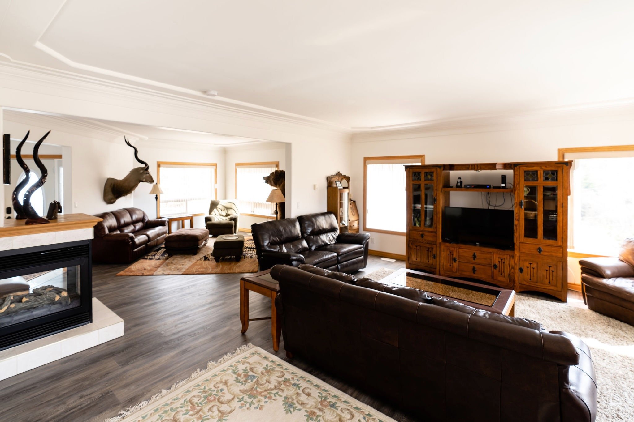 Spacious living room with leather sofas, wooden entertainment center, mounted animal head, and large windows with natural light.