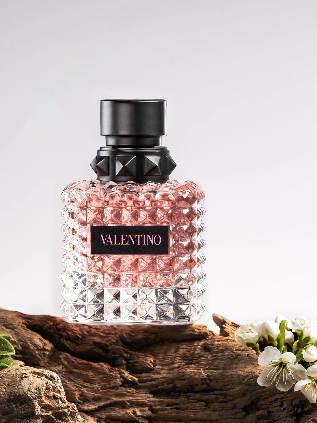 Apparel & Accessories