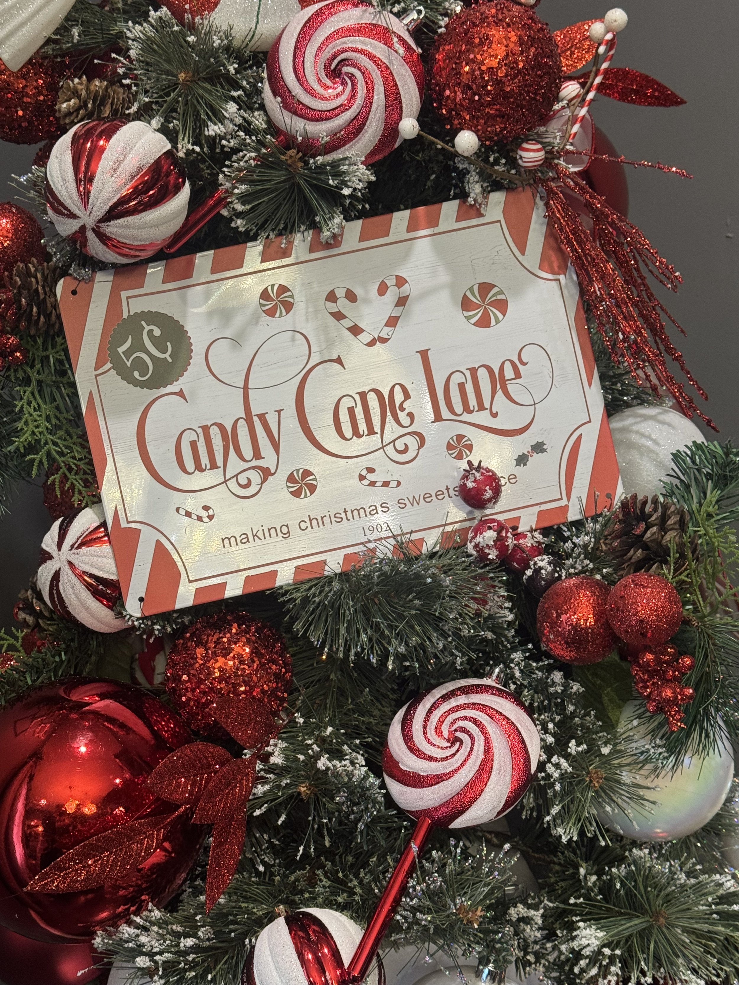EEHD Candy Cane Lane Install