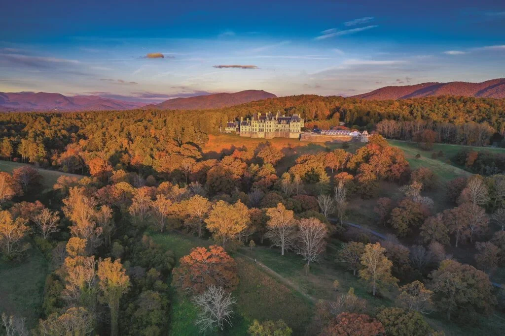 Buncombe County Municipal Elections Results&nbsp;