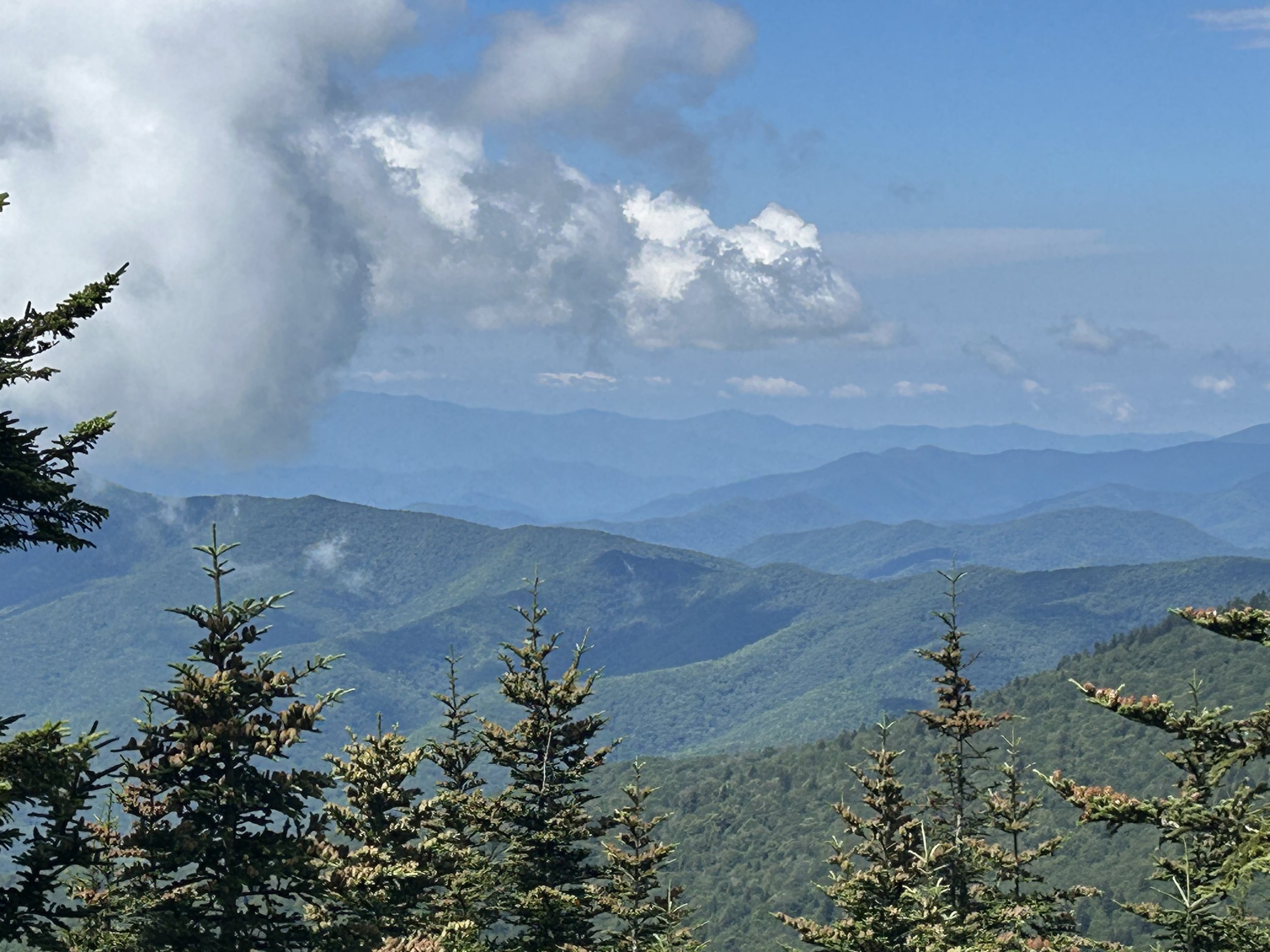 Trump Administration Announces Additional $116 Million For North Carolina&nbsp;&nbsp;