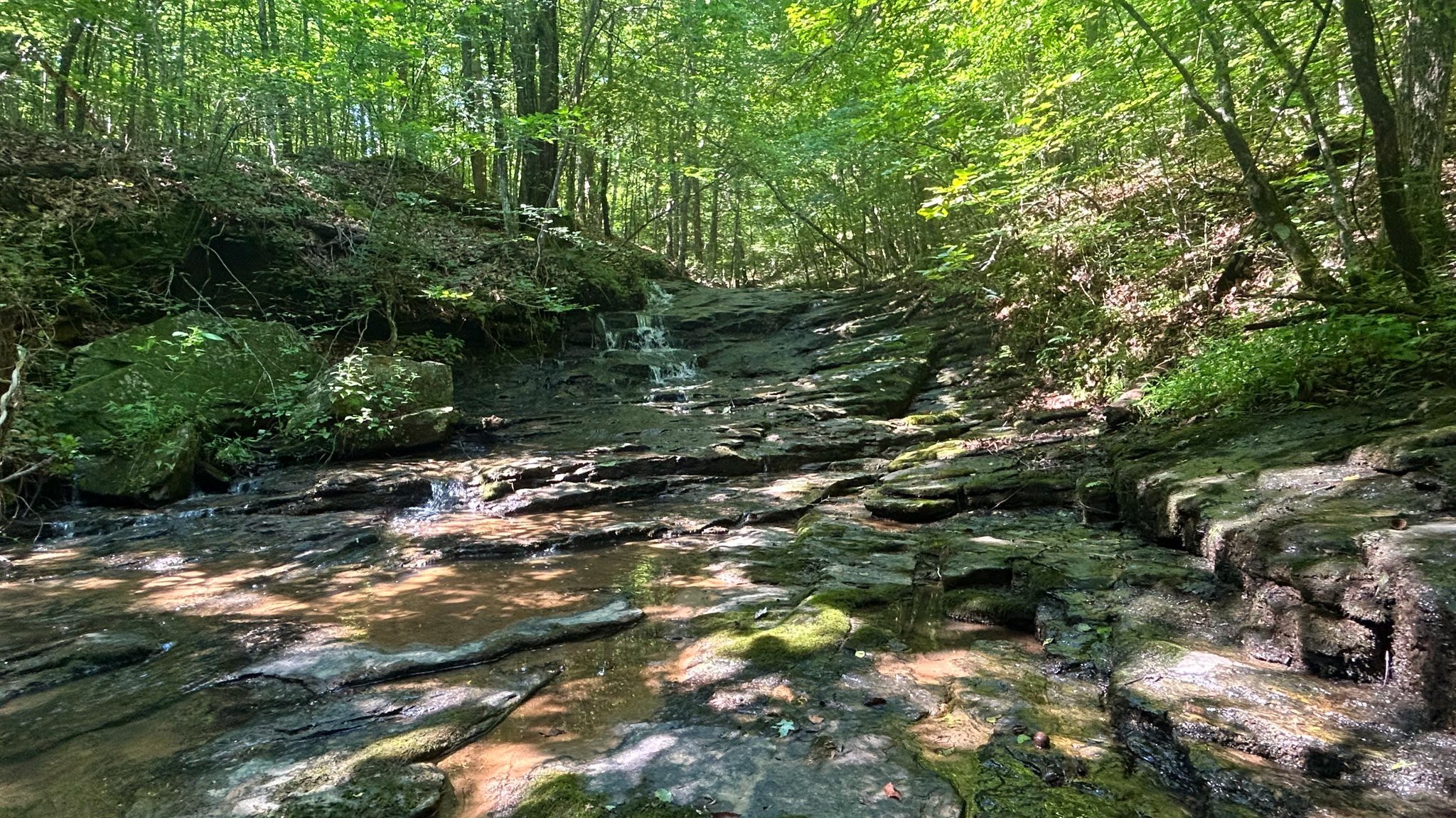 State of North Carolina announces $5.7 Million Grant For Flood Resiliency Projects&nbsp;