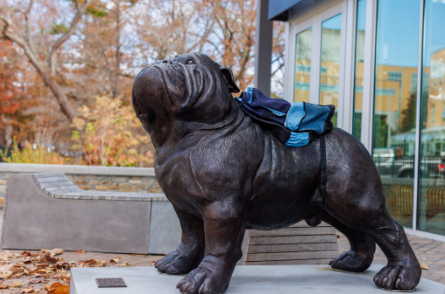 NCInnovation Announces Funding For Four Projects At UNC Asheville&nbsp;