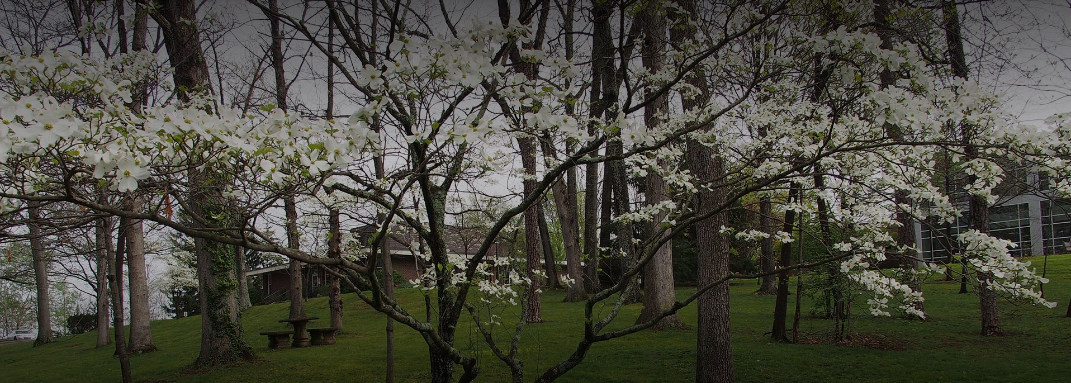 Haywood Community College Receives Clean Audit From Office Of The State Auditor&nbsp;&nbsp;