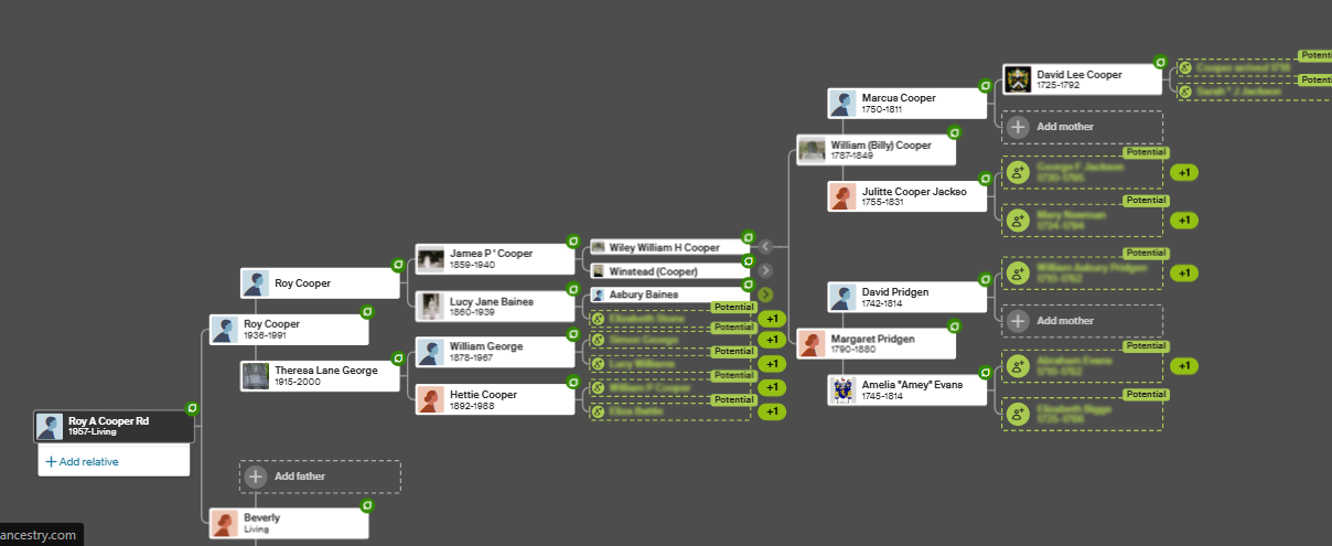 Cooper Family Tree 2.png