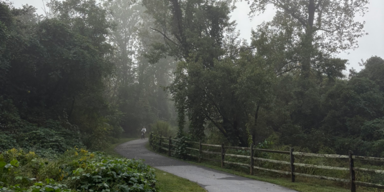 Asheville Parks Announce Fall Classes, Sports, and Special Events&nbsp;