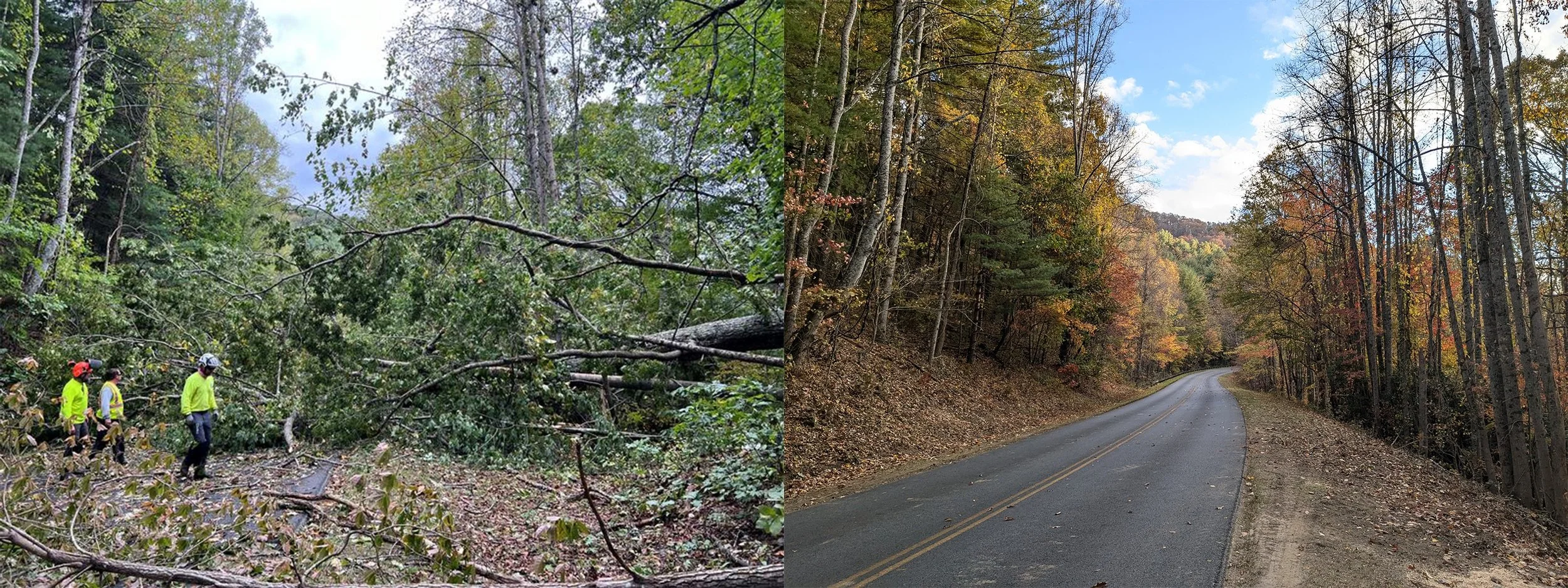 North Carolina Forest Service Receives Nearly $65 Million To Restore National Forest And Surrounding Communities