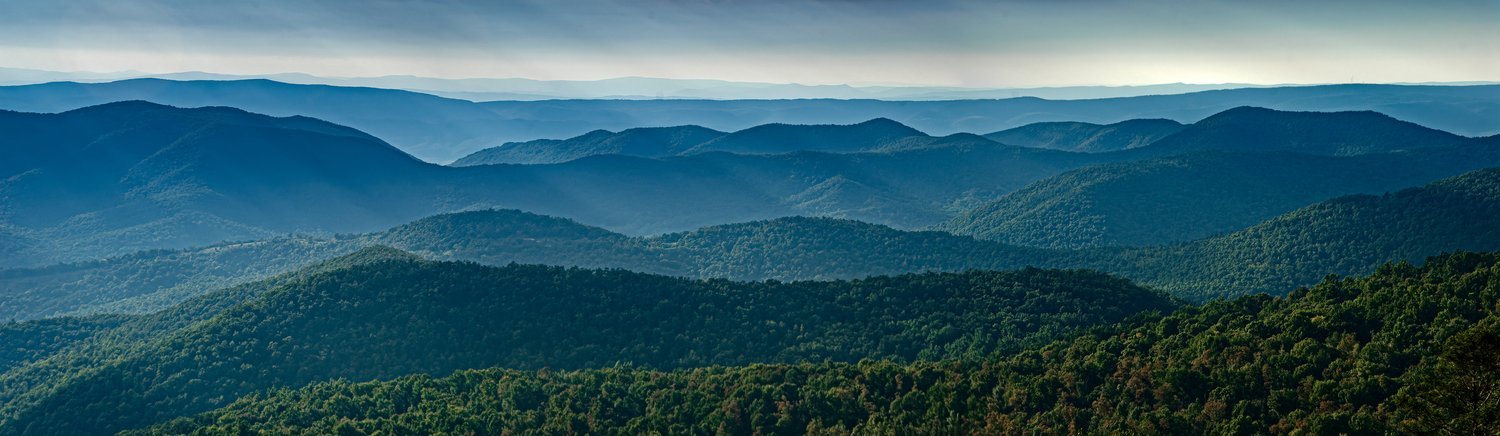 Even a Democrat's Seat Is a Referendum on Hospital Care in North Carolina's 1st