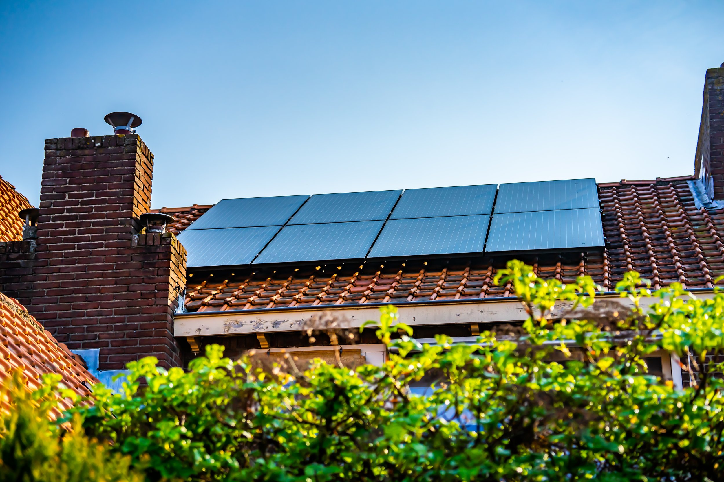 Solar Terms Explained: A Guide to the Basics