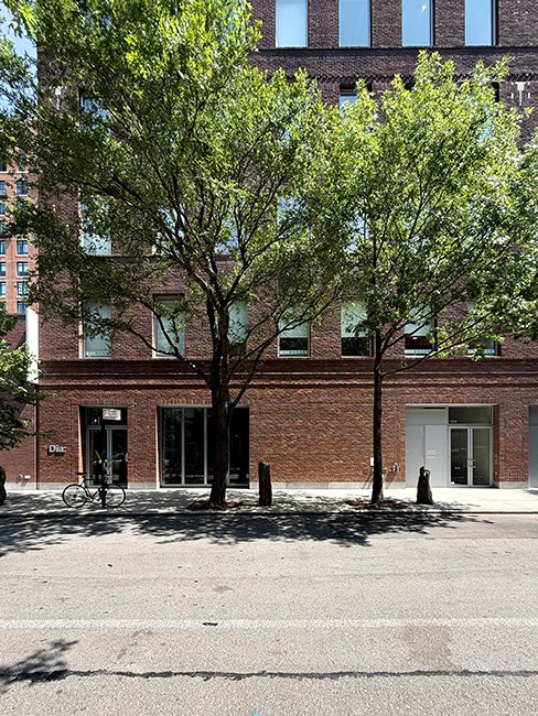 NeotericSlate_Dia Chelsea_A13_Sm.jpg