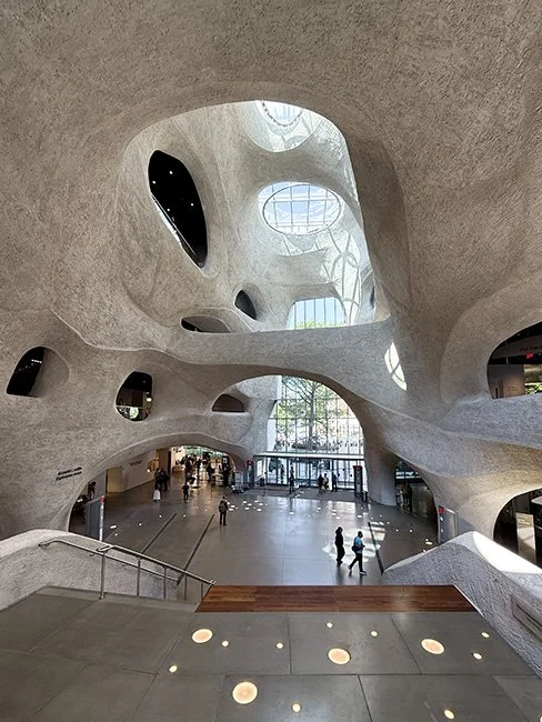 NeotericSlate_Museum of Natural History-NYC_A01_Sm.jpg