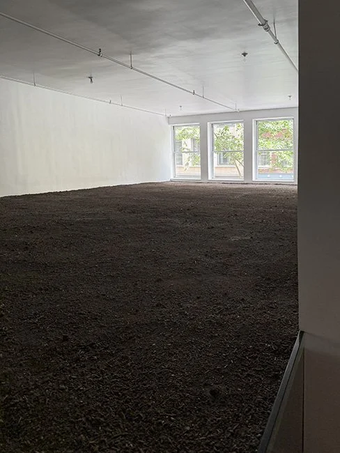 Neoteric Slate_Earth Room_A02_Sm.jpg