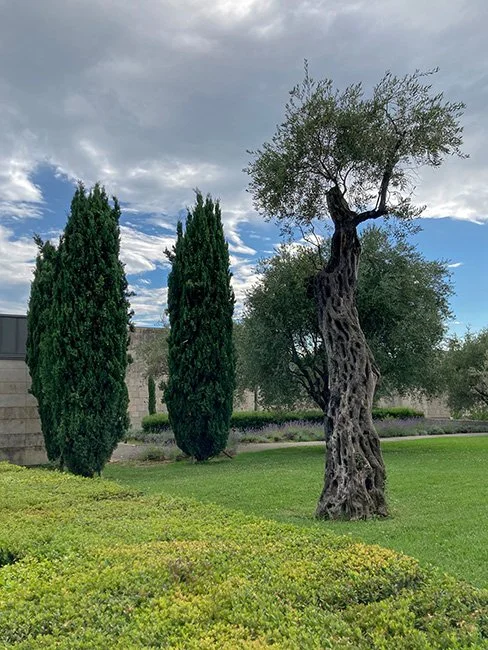 Works of art at the Marc Chagall National Museum in Nice, France.
