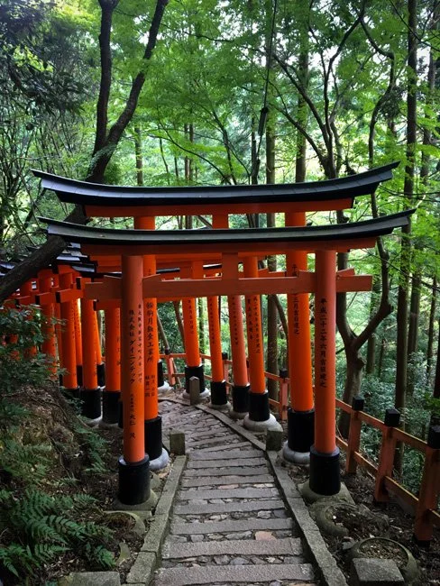 NeotericSlate_Trad-Japan_A41-Sm.jpg