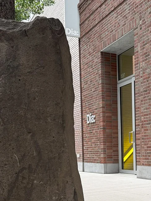 NeotericSlate_Dia Chelsea_A07_Sm.jpg