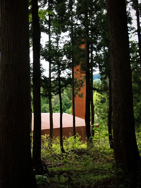 Tezuka Architects including the Echigo Matsunoyama Kyororo Forest School in Niigata, Japan.