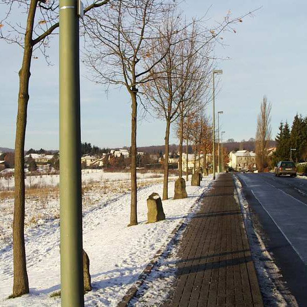	
7000 Oaks by artist Joseph Beuys in Germany.