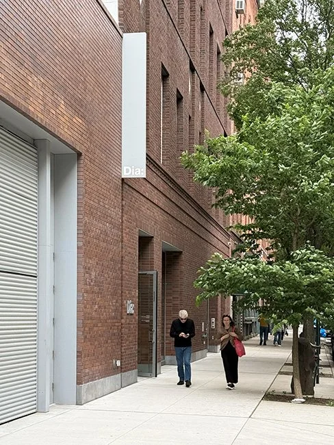 NeotericSlate_Dia Chelsea_A02_Sm.jpg