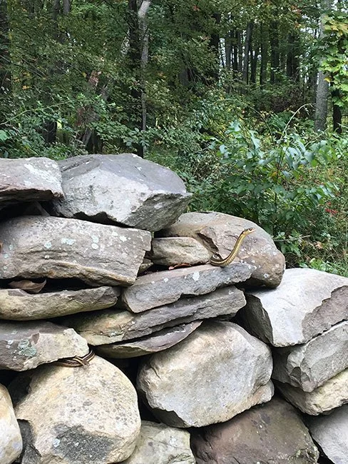 Storm King Wall by Andy Goldsworthy at Storm King Art Center.