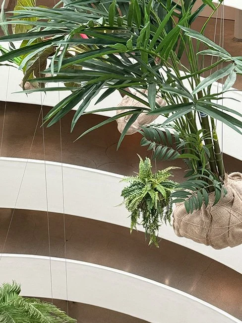 NeotericSlate_S R Guggenheim_A14_Sm.jpg