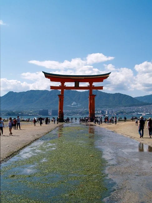 NeotericSlate_Trad-Japan_A21-Sm.jpg