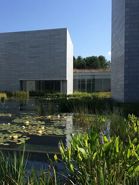 Glenstone Museum in Potomac, MD Image by Allison Meier.