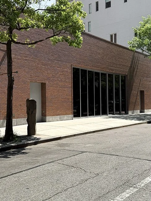 NeotericSlate_Dia Chelsea_A11_Sm.jpg