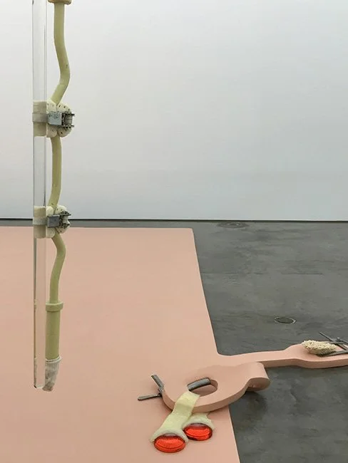 Works by the artist Matthew Barney at Gladstone.