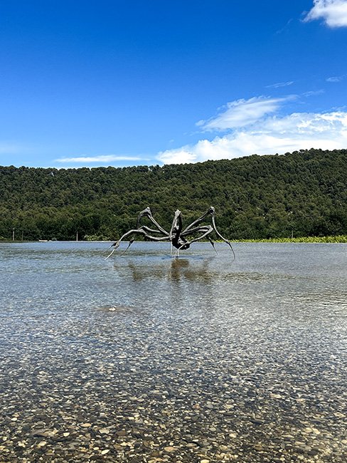 Crouching Spider, created by Louise Bourgeois in 2003 is part of the permanent collection at Chateau La Coste.