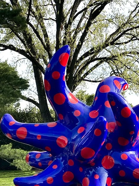 NeotericSlate_NY BotanicalGardens_YayoKusama_A05_Sm.jpg