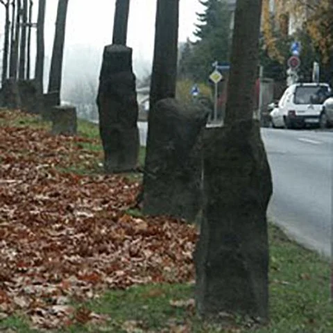7000 Oaks by artist Joseph Beuys in Germany.