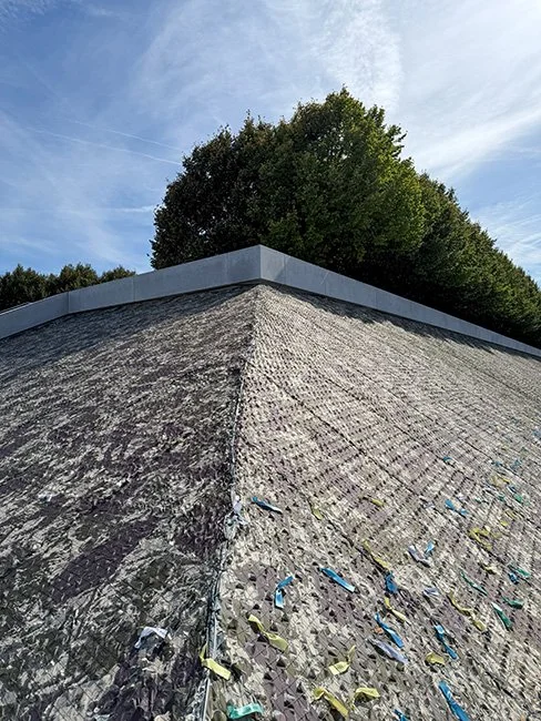 NeotericSlate_FDR Freedom Park - Ai Weiwei_A04_Sm.jpg