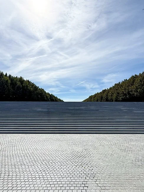 NeotericSlate_FDR Freedom Park_A04_Sm.jpg