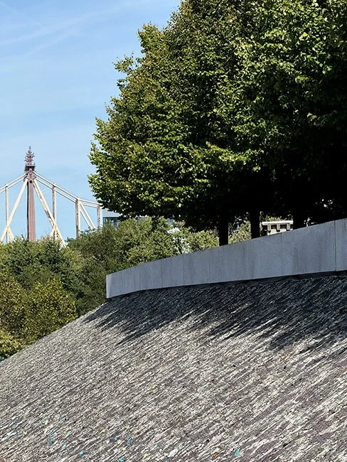 NeotericSlate_FDR Freedom Park - Ai Weiwei_A05_Sm.jpg