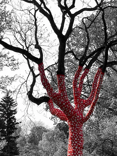 NeotericSlate_NY BotanicalGardens_YayoKusama_A02_Sm.jpg