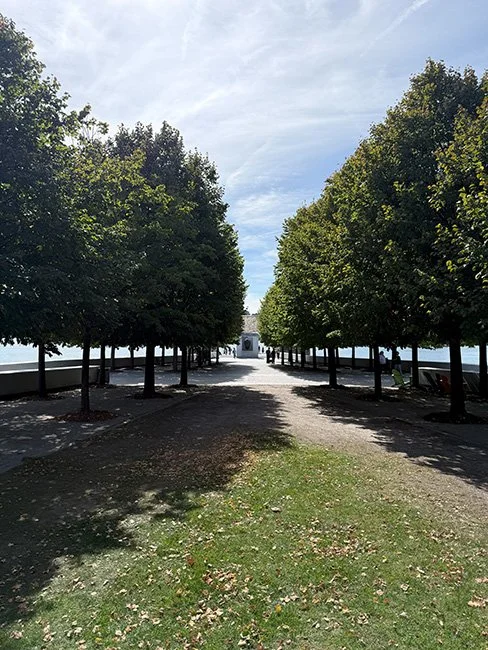 NeotericSlate_FDR Freedom Park_A06_Sm.jpg