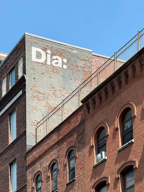 NeotericSlate_Dia Chelsea_A12_Sm.jpg