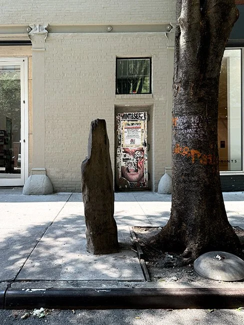 NeotericSlate_7000 Oaks_C01_Sm.jpg