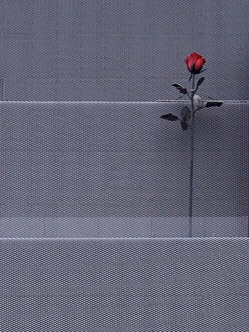 NeotericSlate_New Museum_A04_Sm.jpg