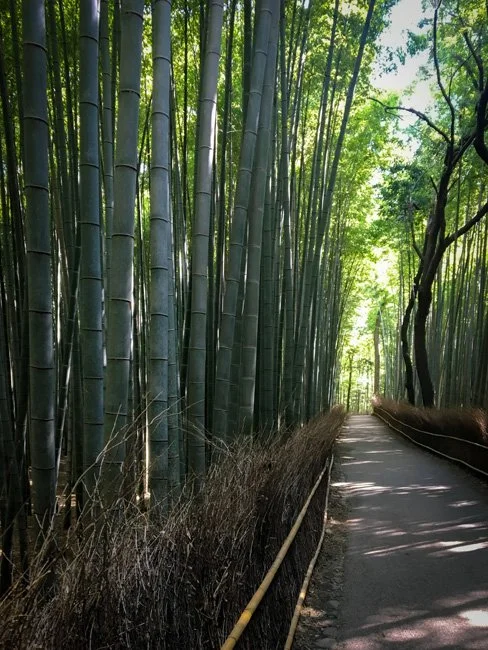 NeotericSlate_Trad-Japan_A23-Sm.jpg