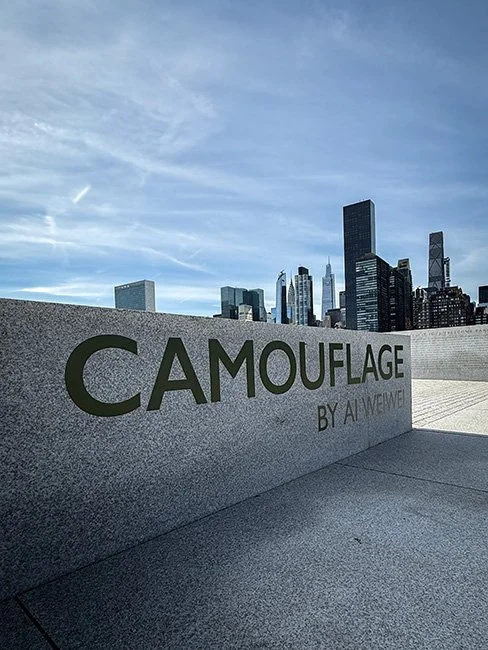 NeotericSlate_FDR Freedom Park - Ai Weiwei_A01_Sm.jpg