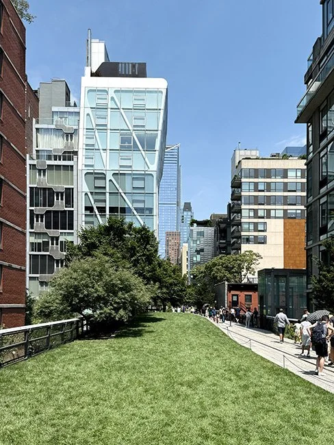 NeotericSlate_HL 23_A04_Sm.jpg