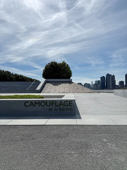 NeotericSlate_FDR Freedom Park - Ai Weiwei_A02_Sm.jpg