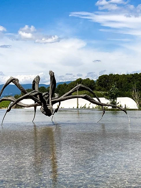Crouching Spider, created by Louise Bourgeois in 2003 is part of the permanent collection at Chateau La Coste.