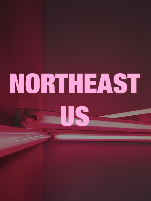 Pink neon lights by artist Dan Flanvin with the words "NORTHEAST US" in bold pink letters.