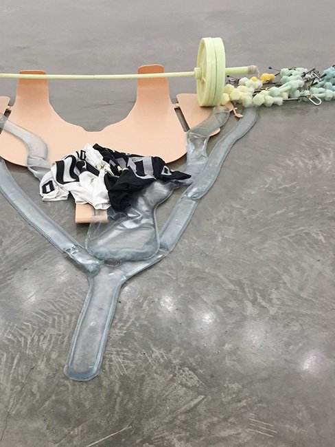 Works by the artist Matthew Barney at Gladstone.