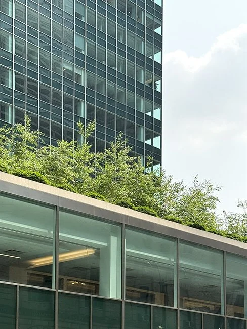 Neoteric Slate_Lever House_A03_Sm.jpg