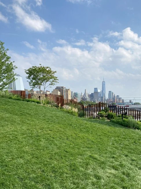 NeotericSlate_Little Island_A06_Sm.jpg